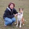 darja_fido