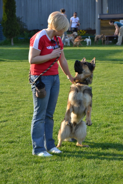 dsc_0744