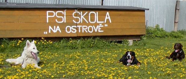 psi-skola